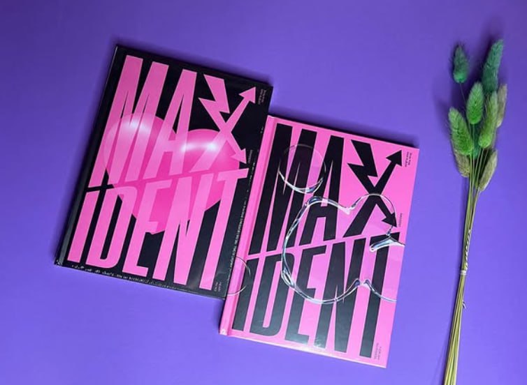 Два варіанти альбому Stray Kids «MAXIDENT» на фіолетовому фоні поруч із декоративною рослиною