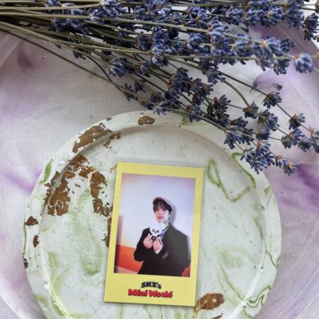 Полароїд Stray Kids до Season greetings 2023 Синмін з іграшкою